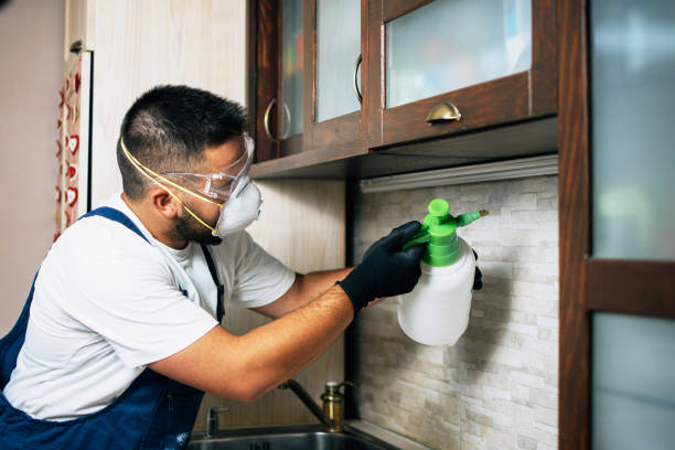 Best Ant Control Services  in Lockport, LA