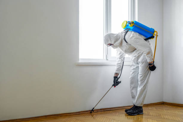 Best Exterminator Services  in Lockport, LA