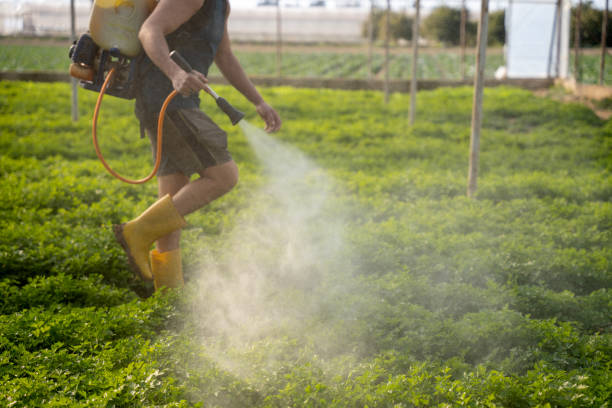 Best Best Pest Control Companies  in Lockport, LA