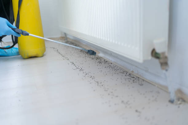 Pest Prevention Services in Lockport, LA